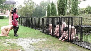 Ezada - Brutal Whipping On A Cold Rainy Day