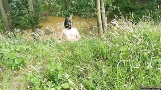 GoddessLena - That Fat Stupid Slave Pig