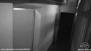 Calea The Used Exhibitionist