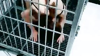 【郑州之卿s】全身，牵母狗走楼道【28分钟】