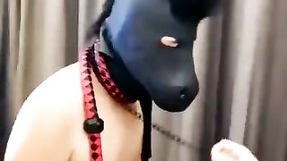 【美学s】马奴训练（黑丝马丁靴专场）【30分钟】