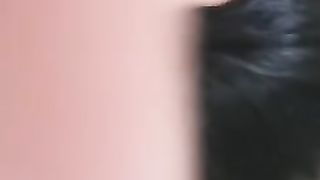 Juan养奴日常。吃主人剩饭【诺小主】