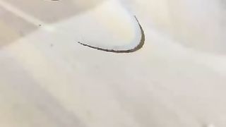 【雪王s】狗奴 伺候夫妻主亲热【47分钟】