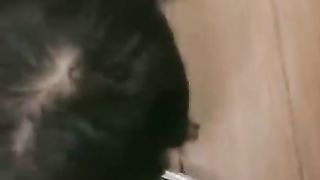 【绘子学姐】天气不错适合舔鞋底【20分钟】