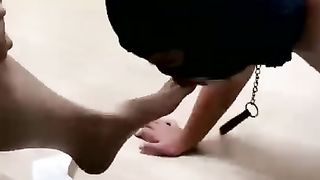 【暴力美学s】棉袜踩踏专场+脚喂食磕头谢恩【56分钟】