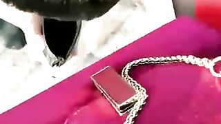 【京s维维】天台玩玩狗子【10分钟】