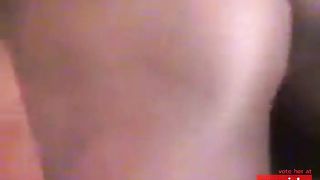 Girl taking care of bulls