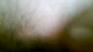 Malay - Virgin No Entry