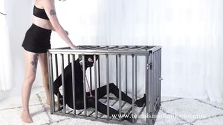 Velma - Ultimate Cage Vibe Ruin