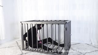 Velma - Ultimate Cage Vibe Ruin