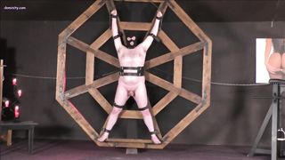 OWK - Courtney - Punished On The Wheel