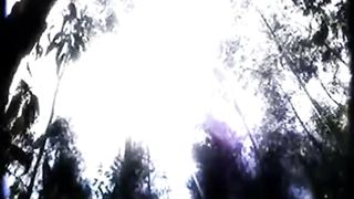 Hidden Cam - Woods 9