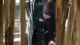 Hidden Cam - Woods 9