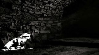 Lesbian asslicking 02