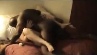 Tallahassee Bareback Motel Meeting