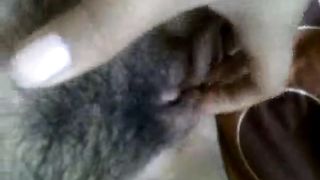 Ochi toge coli pakai jari