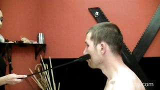 Lady Jenny - Desmond Training 3