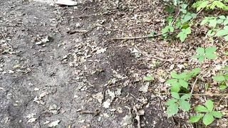 Cruel Reell - Hansel Und Gretel