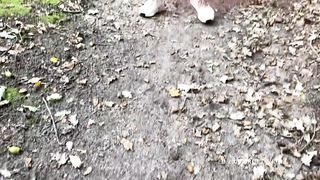 Cruel Reell - Hansel Und Gretel