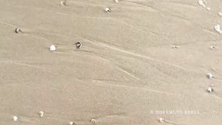 Cruel Reell - Trance Walk