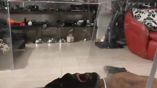 LOOSER COCK