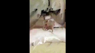 snr kizin ami buyumus