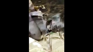 snr kizin ami buyumus