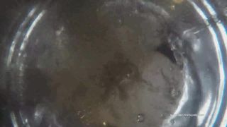 Mistress Gaia slave at work