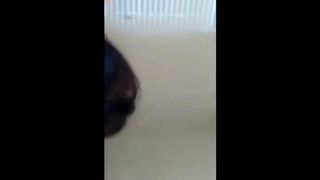 Threesome (MMF) with a lusty brunette