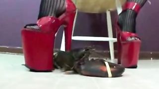Sexy girl crushes lobster as she masturbates