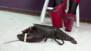 Sexy girl crushes lobster as she masturbates