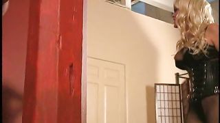 Lady Cheyenne Sadistic Single Tails