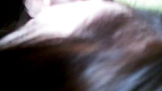 Japanese girls  blowjob cum in mouth