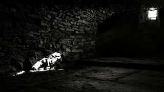 Lesbian asslicking 08