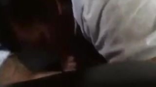 Quickie: Maid sucks cock!