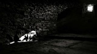 Lesbian asslicking 10