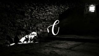 Lesbian asslicking 14