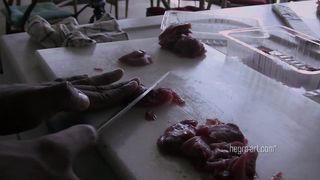 Konata And Lulu The Sushi Shoot