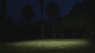 Marketa Night Session