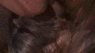 Wurde Betrunken benutzt