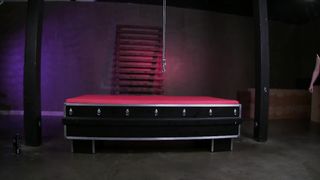 FemdomEmpire - Lexi Sindel - Drained slave balls