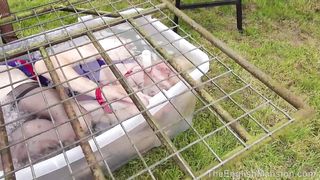 TheEnglishMansion - Wet & Messy Punishment (Amrita)