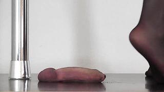 CBTrample - Mistress Alina - Red Cum Under Black Nylons