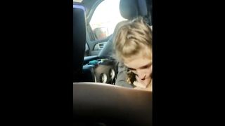 Blonde college girl with braids sucks cock in the car