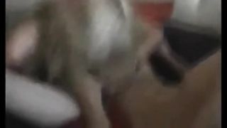 Deutsche Jungschwanz Expertin