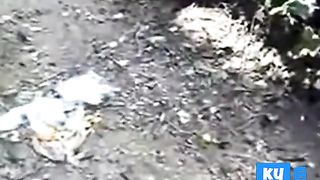 Iranian couple having sex