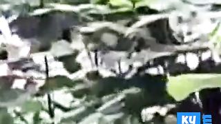 Iranian couple having sex