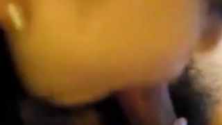 Shanghai Flight Attendant Sucking Cock