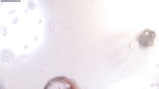 We’ll Gob you Now! Place you Face Here, i'll Spit on It, Student Spits in your Face, Teen POV