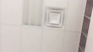 Bull gives girl a quick fuck